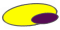 Yellow / Purple