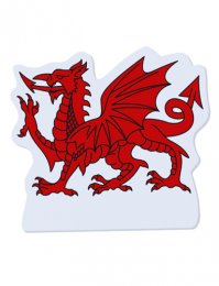 DRFM01: Dragon Fridge Magnet