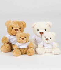 MM30: Plush Teddy with Printed Tee Shirt