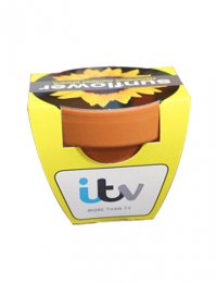 SUN099: Sunflower Pot