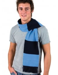 TS10: Team Scarf